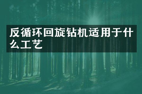 反循环回旋钻机适用于什么工艺