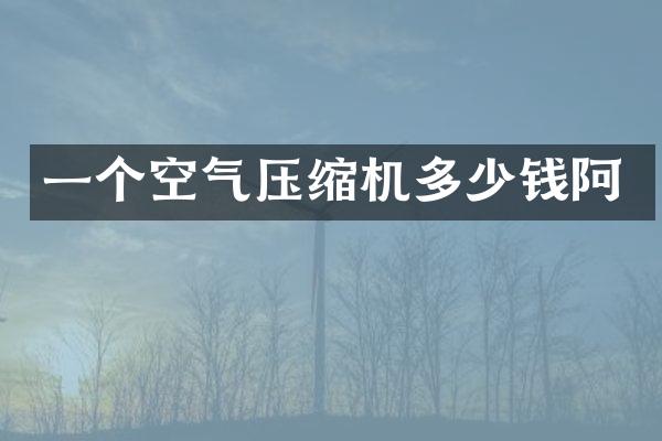 一个空气压缩机多少钱阿