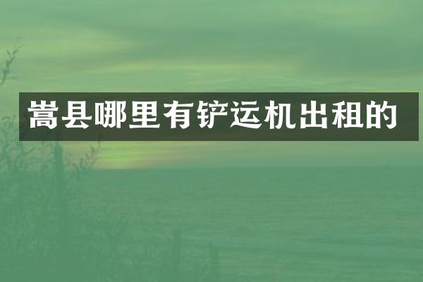 嵩县哪里有铲运机出租的