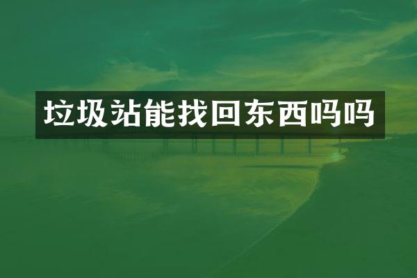垃圾站能找回东西吗吗