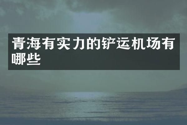 青海有实力的铲运机场有哪些