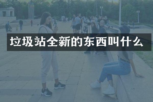 垃圾站全新的东西叫什么