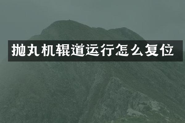 抛丸机辊道运行怎么复位