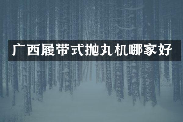 广西履带式抛丸机哪家好
