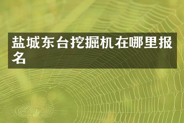 盐城东台挖掘机在哪里报名
