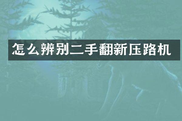 怎么辨别二手翻新压路机
