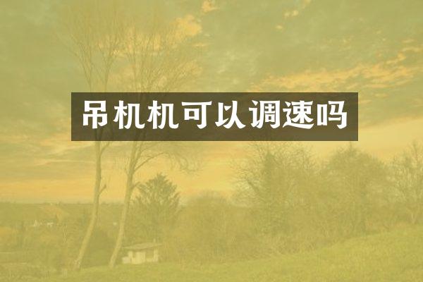 吊机机可以调速吗
