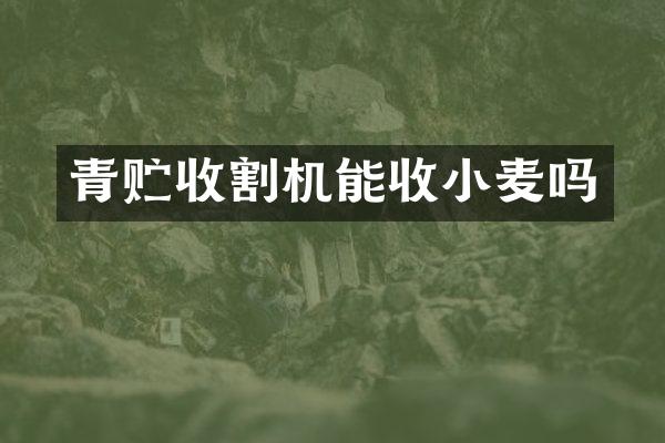 青贮收割机能收小麦吗