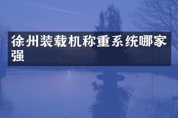 徐州装载机称重系统哪家强