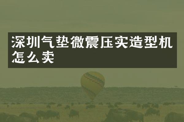 深圳气垫微震压实造型机怎么卖