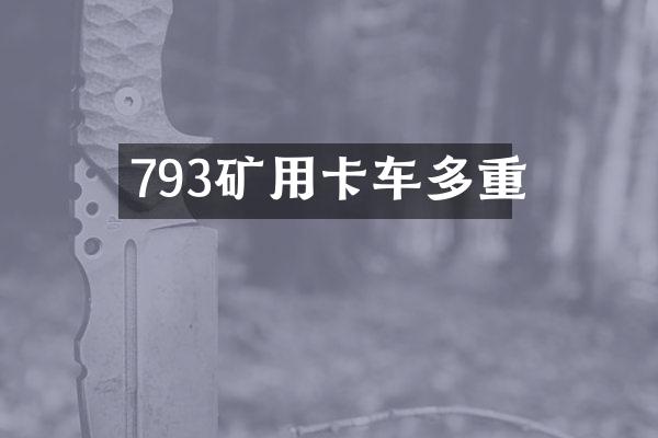 793矿用卡车多重