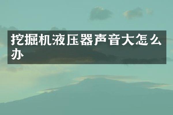 挖掘机液压器声音大怎么办