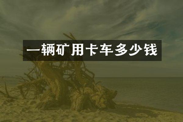 一辆矿用卡车多少钱