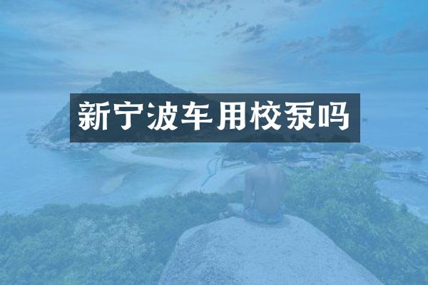 新宁波车用校泵吗