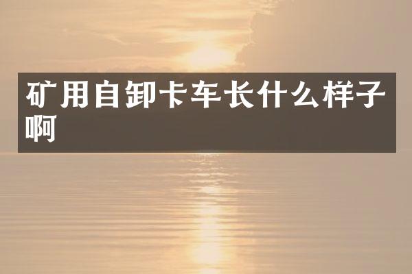 矿用自卸卡车长什么样子啊
