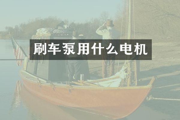 刷车泵用什么电机