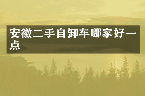 安徽二手自卸车哪家好一点