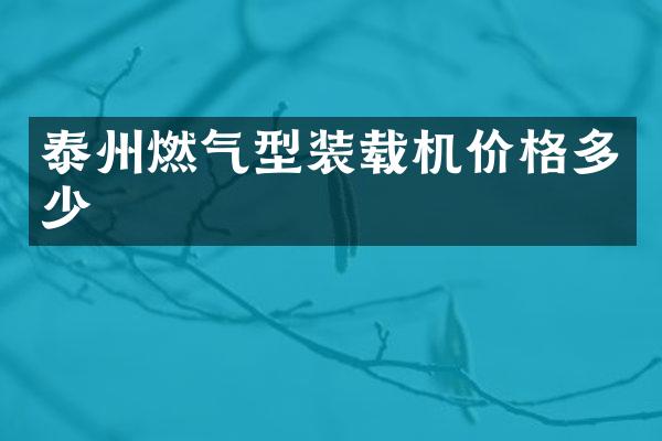 泰州燃气型装载机价格多少