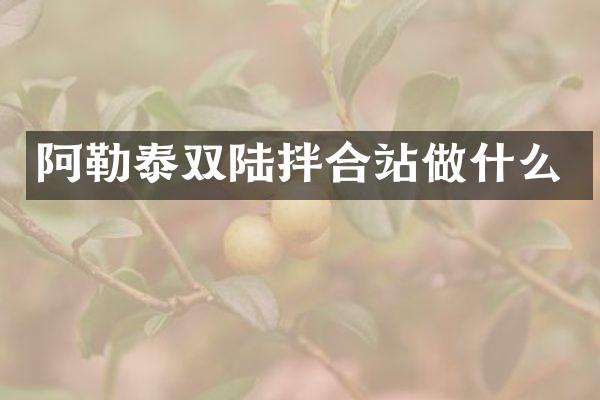 阿勒泰双陆拌合站做什么