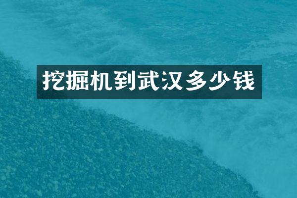 挖掘机到武汉多少钱