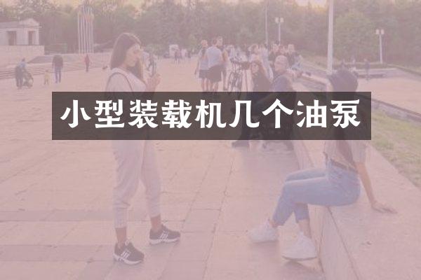 小型装载机几个油泵