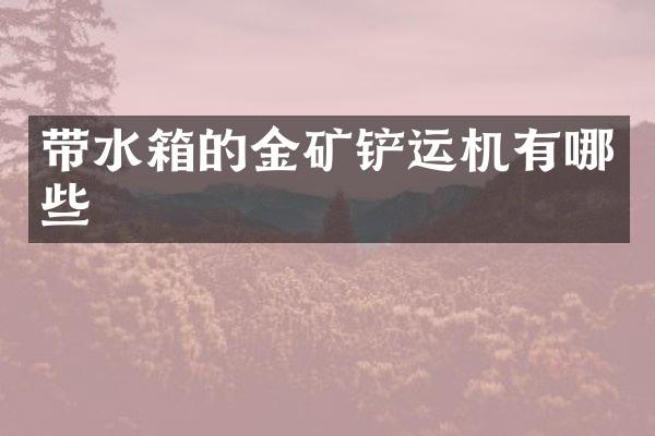 带水箱的金矿铲运机有哪些