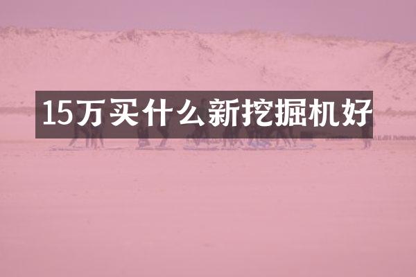 15万买什么新挖掘机好