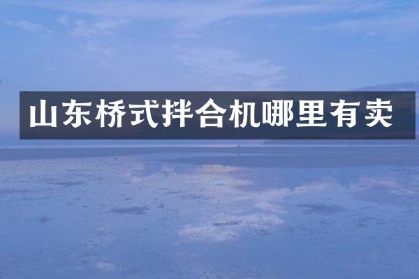 山东桥式拌合机哪里有卖