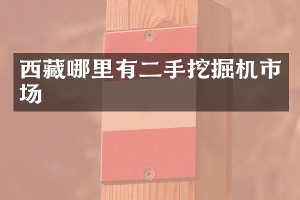 西藏哪里有二手挖掘机市场