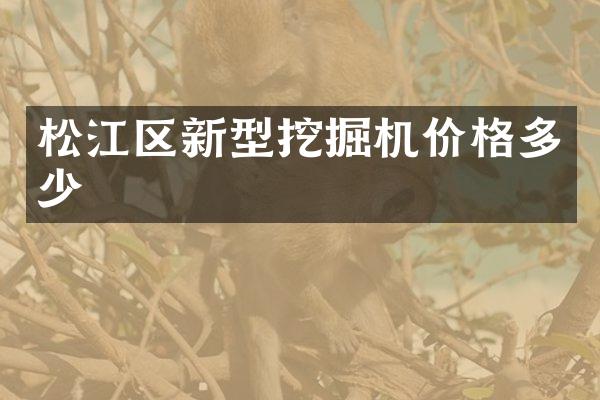 松江区新型挖掘机价格多少
