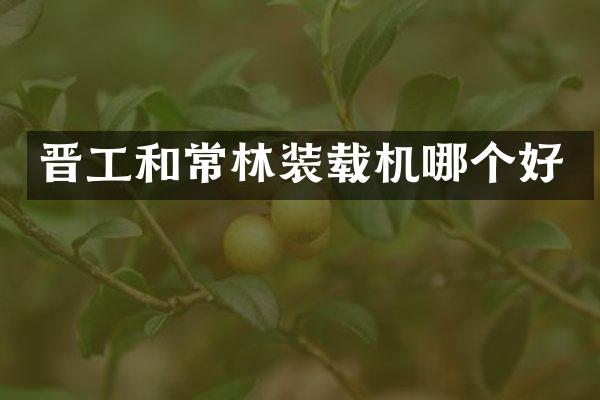 晋工和常林装载机哪个好
