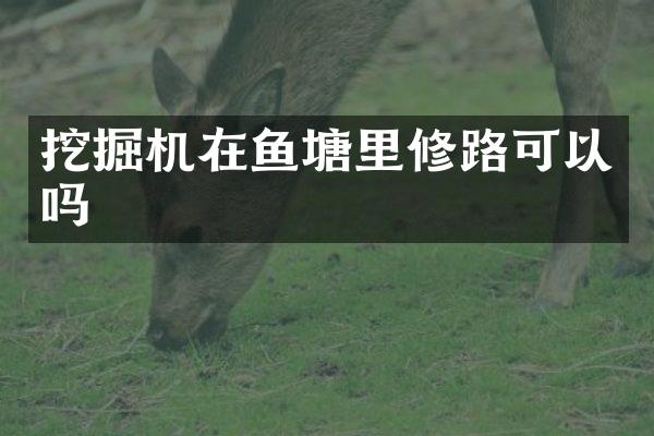 挖掘机在鱼塘里修路可以吗