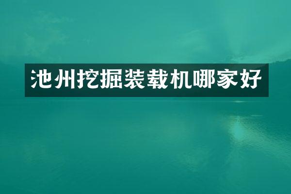 池州挖掘装载机哪家好