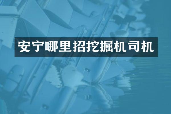 安宁哪里招挖掘机司机
