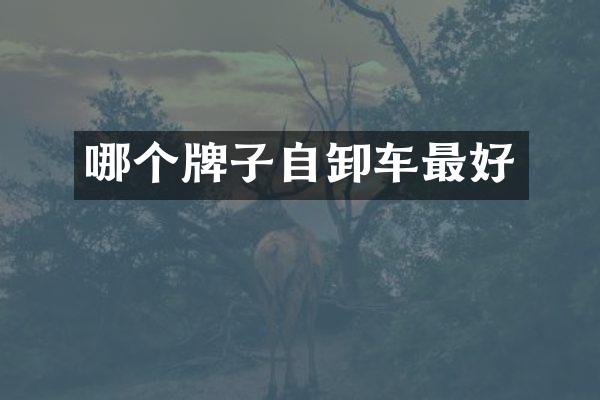 哪个牌子自卸车最好