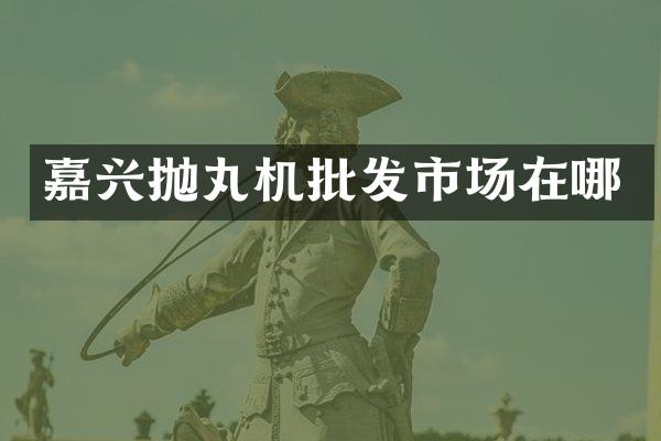 嘉兴抛丸机批发市场在哪