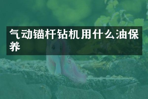 气动锚杆钻机用什么油保养