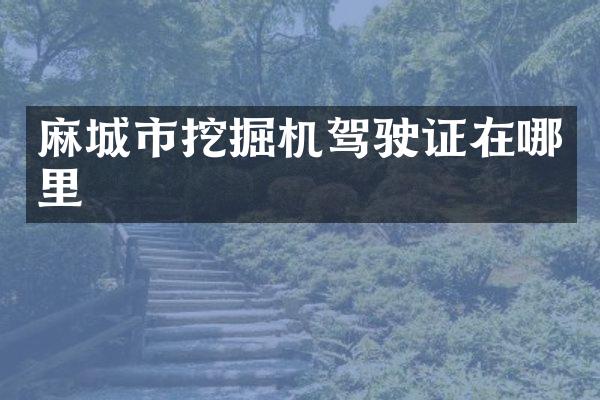 麻城市挖掘机驾驶证在哪里