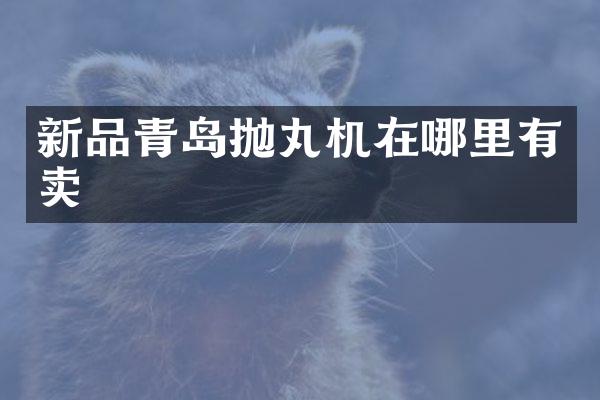 新品青岛抛丸机在哪里有卖