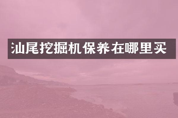汕尾挖掘机保养在哪里买