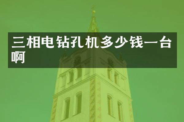 三相电钻孔机多少钱一台啊