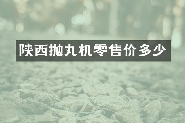 陕西抛丸机零售价多少