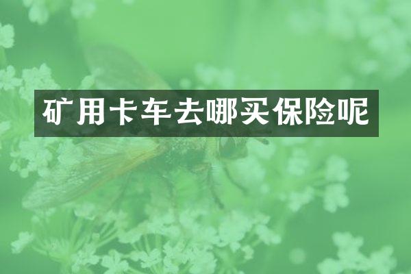 矿用卡车去哪买保险呢
