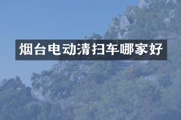 烟台电动清扫车哪家好