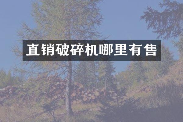 直销破碎机哪里有售