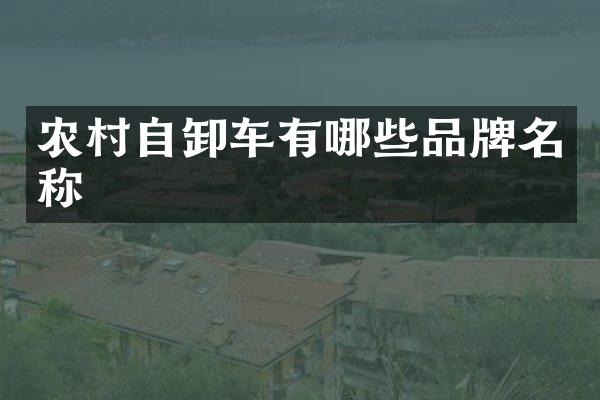 农村自卸车有哪些品牌名称