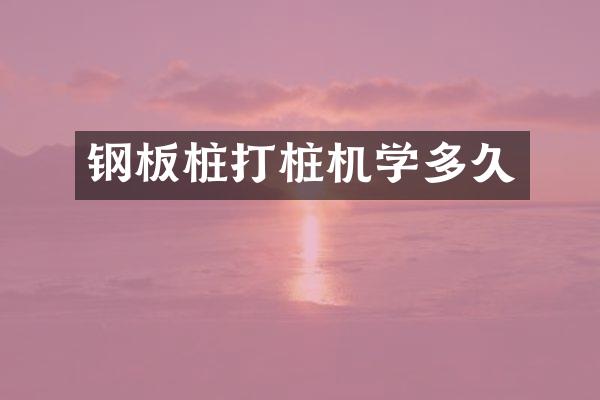 钢板桩打桩机学多久