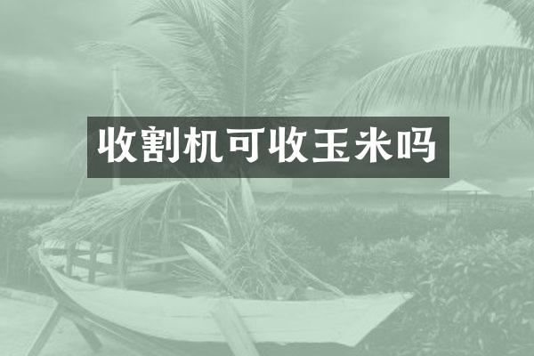 收割机可收玉米吗
