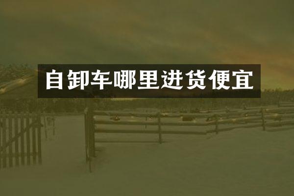 自卸车哪里进货便宜
