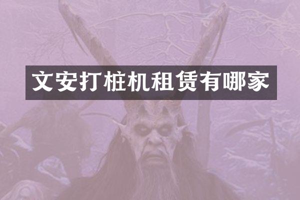 文安打桩机租赁有哪家